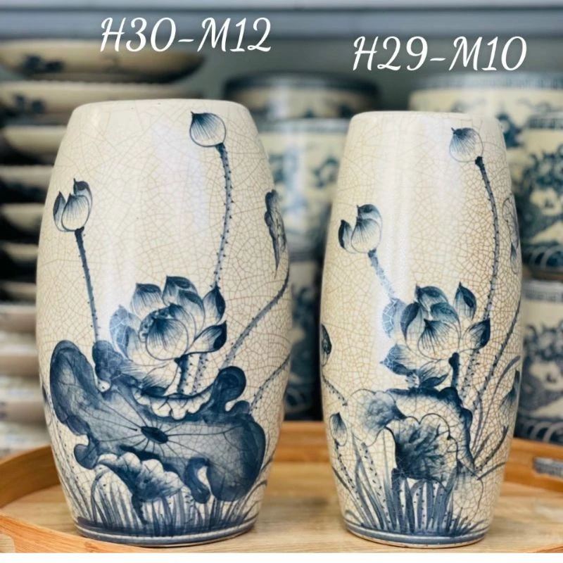 Lọ thân bầu rộng bên trái cạnh một lọ hẹp hơn để tham khảo